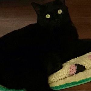 20% OFF 2+ BUNDLE! FREE  🎁  W ANY ORDER!!